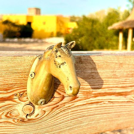 Eco-Ranch Salome Διαμέρισμα Sidi Kaouki Εξωτερικό φωτογραφία