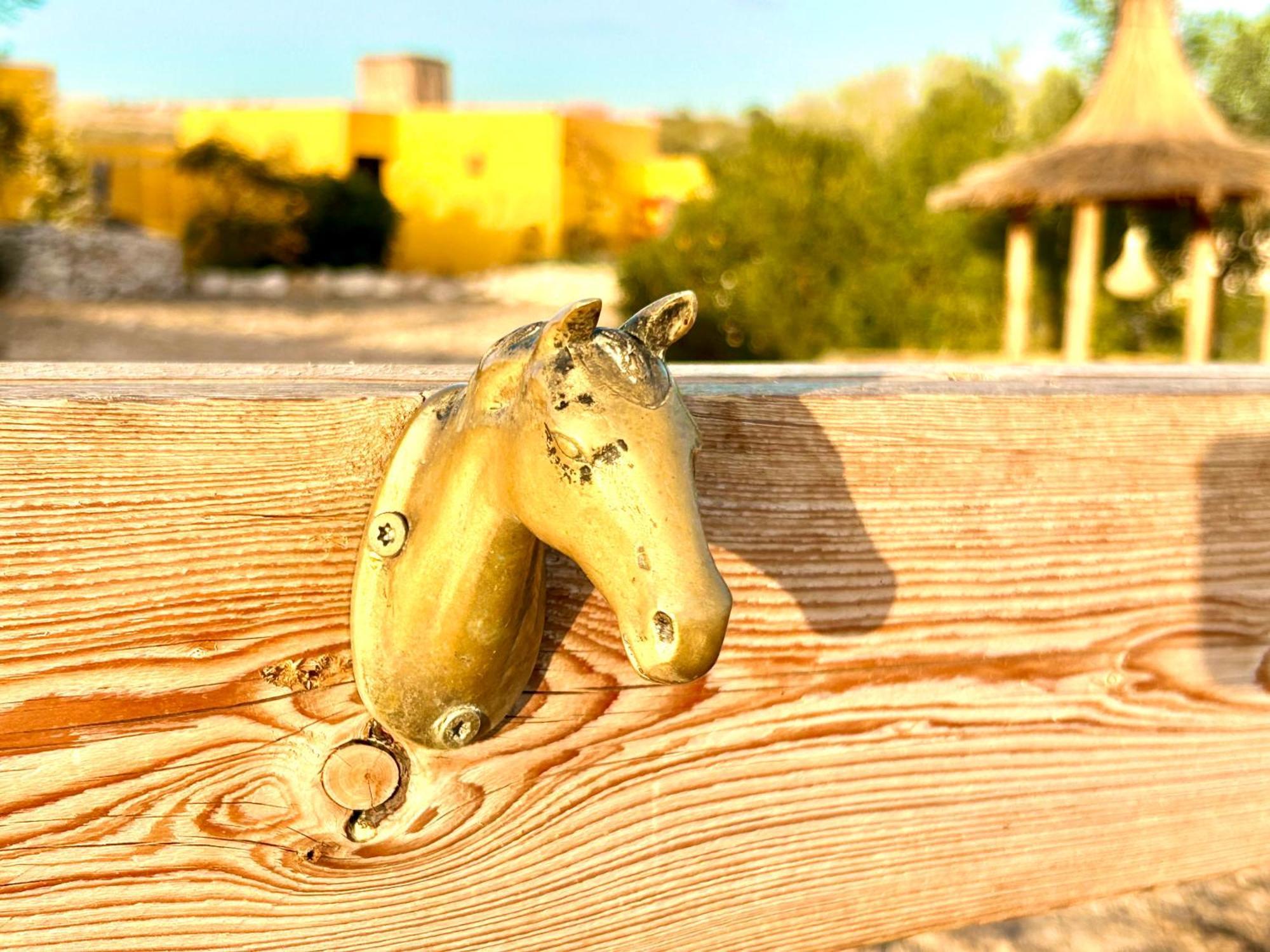 Eco-Ranch Salome Διαμέρισμα Sidi Kaouki Εξωτερικό φωτογραφία